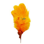 Beautiful Orange Frather for Krishna Kalangi 