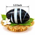 Black White Narmadeshwar Saligram Lingam