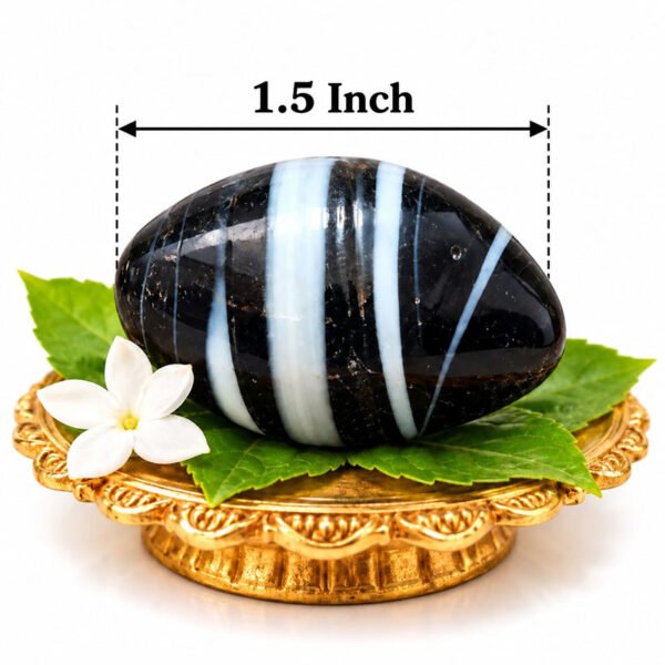 Black White Narmadeshwar Saligram Lingam