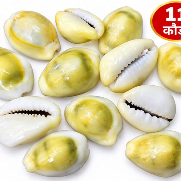 Natural Yellow KauriPeeli Kodifor Laxmi Pooja and Diwali Pooja Set 11 Pieces