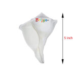 PI16 Dakshinavarti shankh Narayan Shank