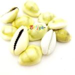 PI20 Natural Yellow KauriPeeli Kodifor Laxmi Pooja and Diwali Pooja Set 11 Pieces