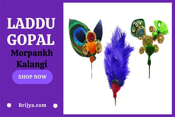 Laddu-Gopal-Feather-Morpankh-Kalangi