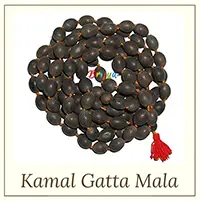 Kamal-Gatta-Mala