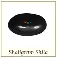 Shaligram-Shila