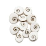 Natural GomatiGomti Chakra Original for Puja (White) 11 Pieces.