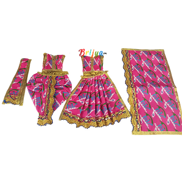 Radhe Radhe Pink Print Yugal Jodi Dress