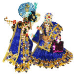 Blue Net Sequence Embroidery Work Poshak For RK