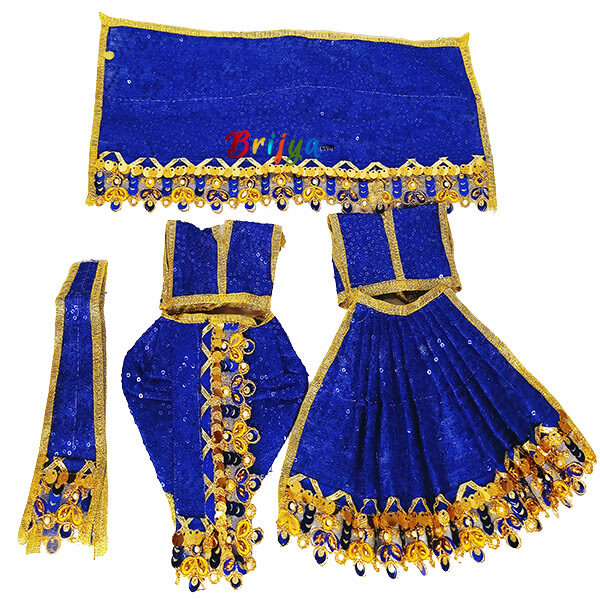 Blue Net Sequence Embroidery Work Poshak For RK