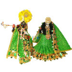 Green Net Sequence Embroidery Work Poshak For RK