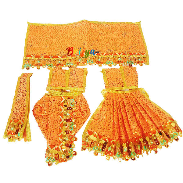 Orange Net Sequence Embroidery Work Poshak For RK