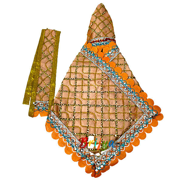 Peach Sitara Embroidery Work For Sai Baba Dress