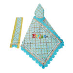 Beautiful Skyblue Sitara Embroidery Work For Sai Baba Dress