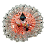 Peach chicken embroidery bal gopal vastra