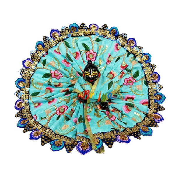 Skyblue heavy Sitara resham embroidery