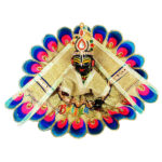 Blue Glitter Fabric Resham Work Disigner Dress For Gopal Ji