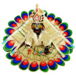 Green Glitter Fabric Resham Work Disigner Dress For Gopal Ji