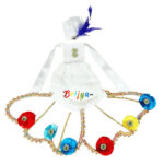 Beautiful Multi Colour Butterfly Fancy Dress For Gopala