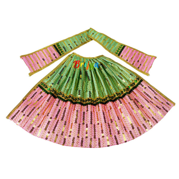 Green Pink Sequence Work Maa Durga Dress