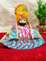 Pink green thread sequence embroidery For Khattu baba dress